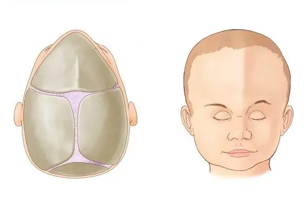 清宫生男生女表