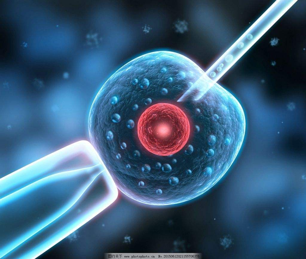 湖北试管婴儿医院