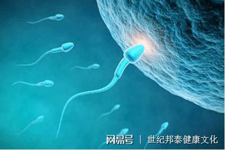 清宫图生男生女表