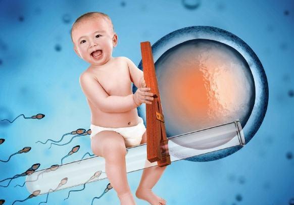 海淀妇幼试管婴儿