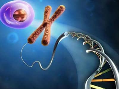 清宫生男生女表