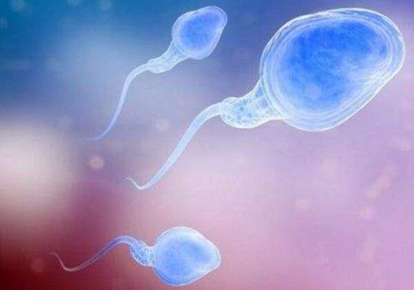 温州不孕不育医院