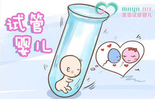 深圳泰国试管婴儿