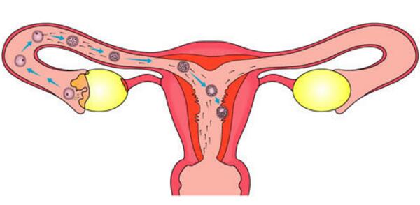 清宫表2018生男生女图