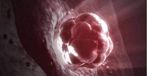 牡丹江助孕锌309584q上词