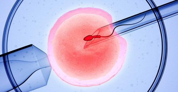 海淀妇幼试管婴儿