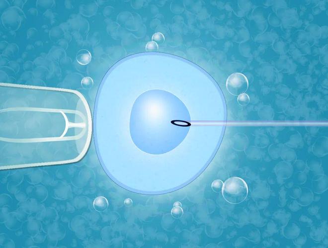 湖南试管婴儿医院