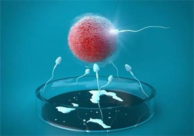 湖南助孕试管婴儿