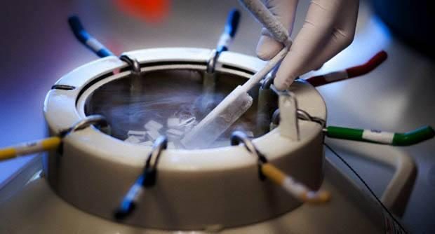 海淀妇幼试管婴儿