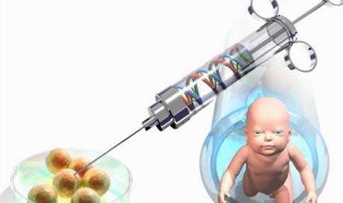 潮州美国泰国试管