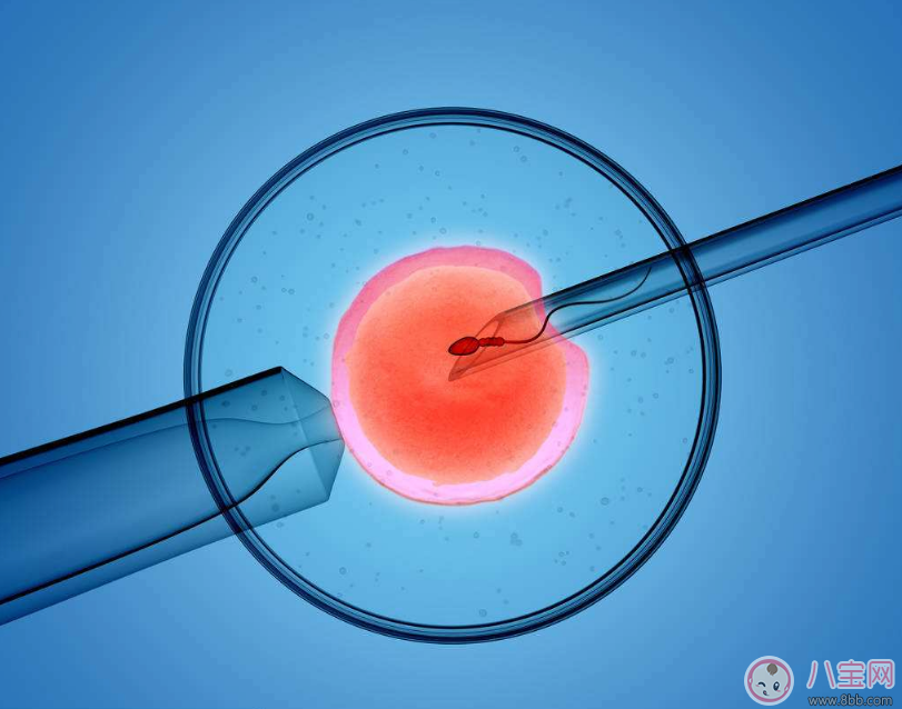 清宫表2018生男生女图