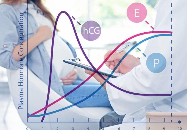湖南省邵阳试管婴儿