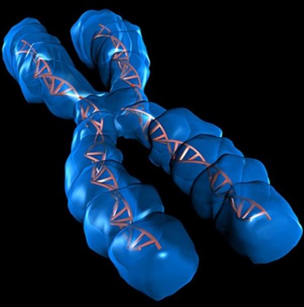 深圳泰国试管婴儿