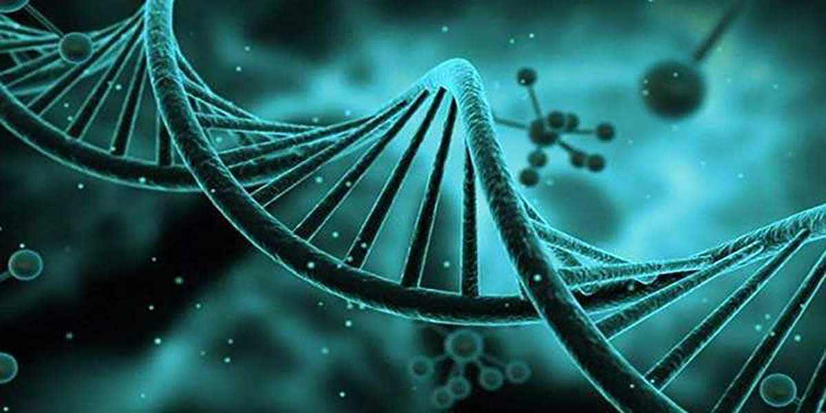 海淀妇幼试管婴儿